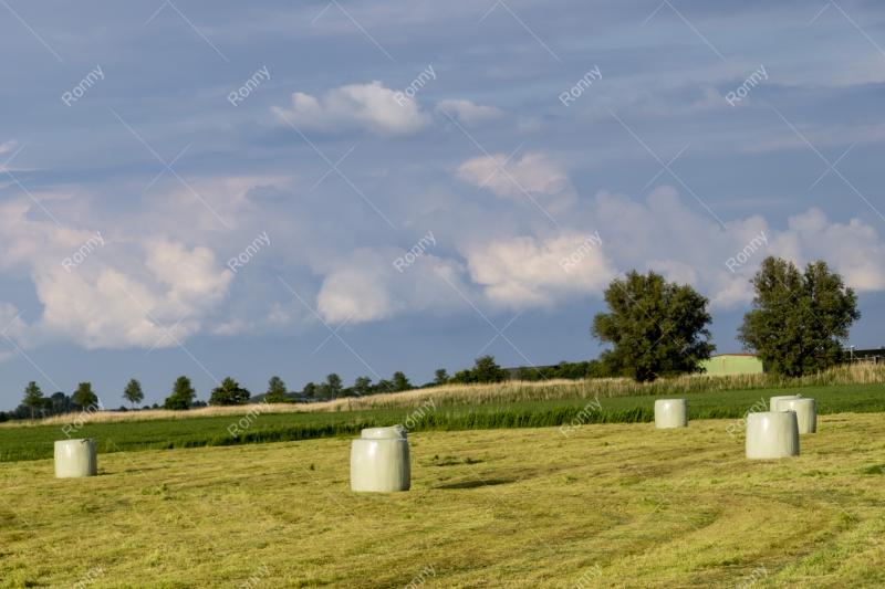 Landwirtschaft