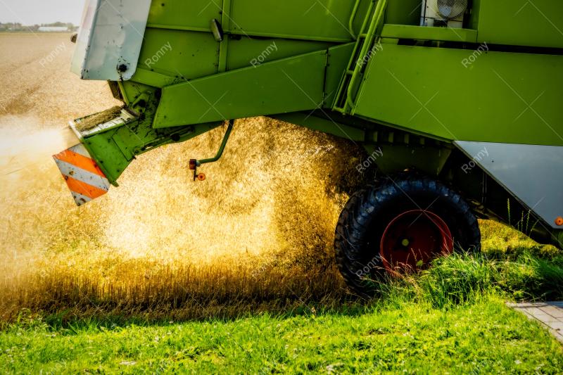 Landwirtschaft