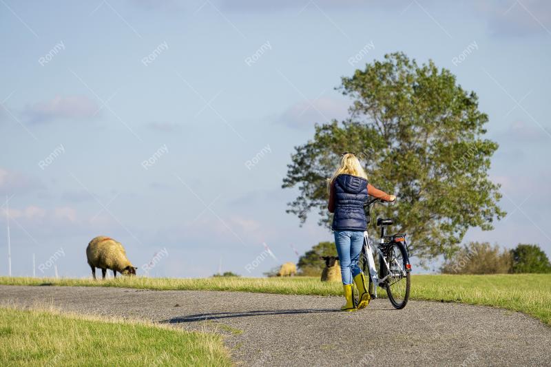 Fahrradtour am Deich entlang