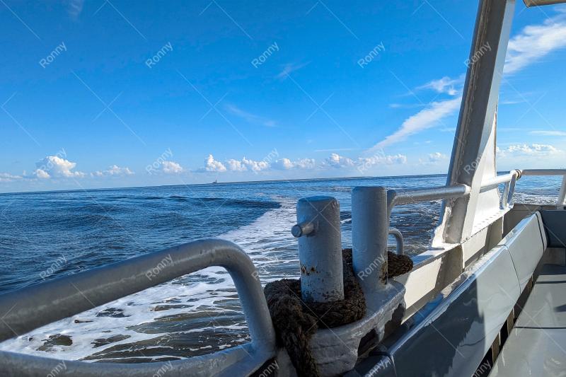 Auf dem Schiff zur Seehundbank