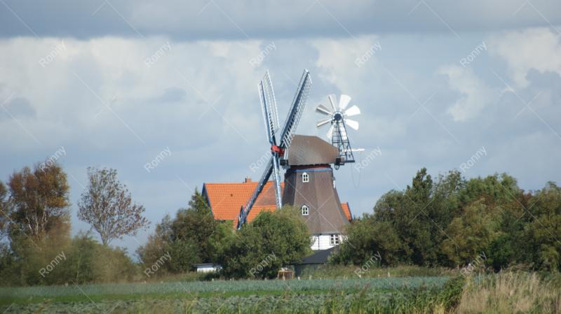 Hochzeitsmühle Friedrichskoog