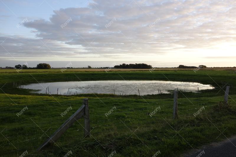 Norderdeich