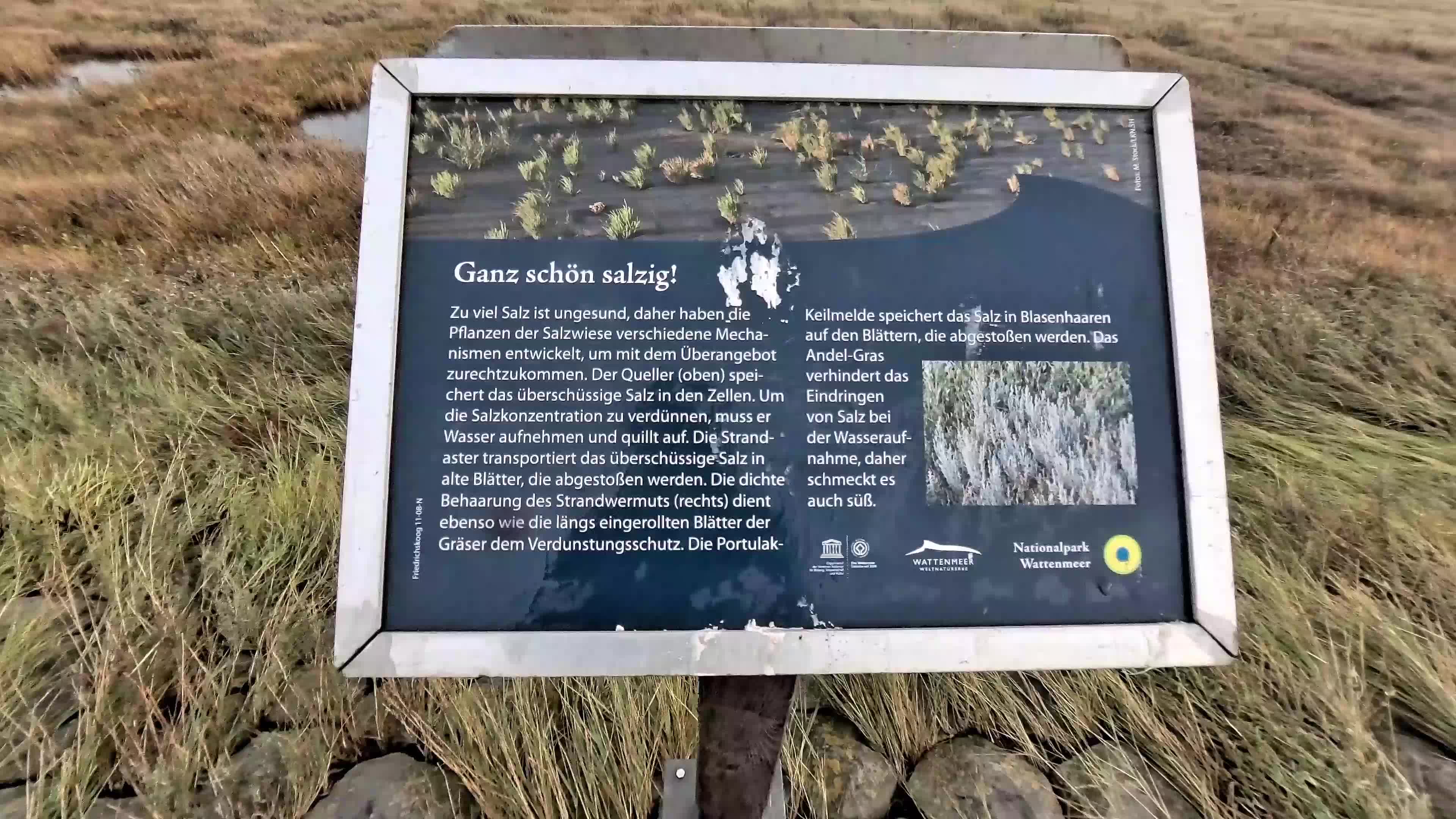 Ganz schön salzig
